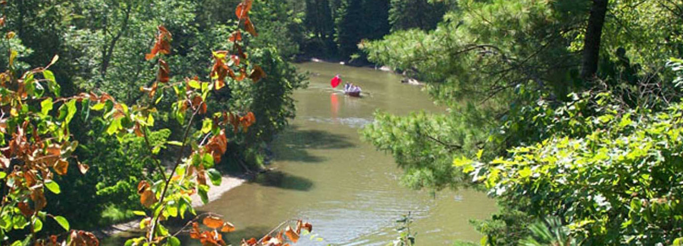 Wasaga Under Siege: River Run, 2011 - "Surprise"